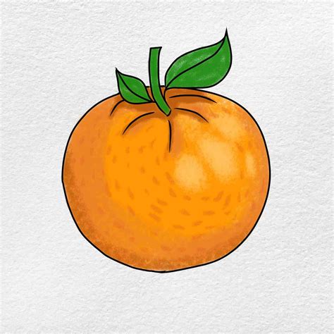 This orange drawing tutorial includes 11 simple drawings step by step for beginners . Hope you enjoy it! Learn how to draw fruits more. Step 01: Step 02: Step 03: Step 04: Step 05: Step 06: 